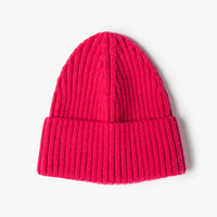 Großhandel Wolle-Acryl Winter Warme Unisex Bestickte Einfarbige Gerippte Blanko Gestrickte Mützen mit Anpassbarem Logo