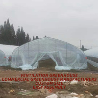 Serre agricole tunnel à arche simple galvanisée à chaud, petit modèle, avec structure en film PE et équipement de ventilation facile à installer