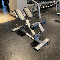 ATICOL Haute Qualité Ovale Tube force machine Équipement De Gymnastique Abs Dos Hyper Extension Banc D'exercice Chaise Romaine