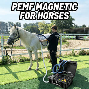 Máquina PEMF Portátil para Alivio del Dolor Muscular en Patas de Caballos, Perros y Gatos, Terapia para Mascotas con Tapete o Bucle, Fisioterapia Magnética - Product Image 1
