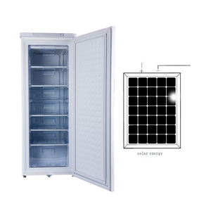 Congélateur vertical 198L à prix d'usine, vente en gros, DC 12V 24V, alimenté à l'énergie solaire - Product Image 1