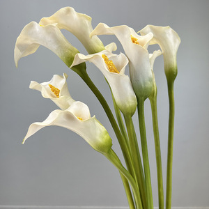 AR-570 PU Matériel épais 65CM Calla artificielle <span class=keywords><strong>Arum</strong></span> Petite tête 11CM pour la décoration de la maison - Product Image 1