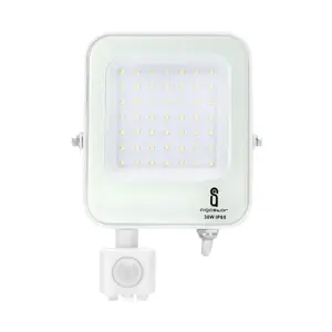 Proiettore LED 30W, 2700lm, 6500K, IP65 - Ideale per illuminazione esterna ed eventi con elevato rendimento e resistenza - Product Image 1