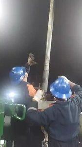 Bomba de Cavidad Progresiva para Campos Petroleros - Product Image 3