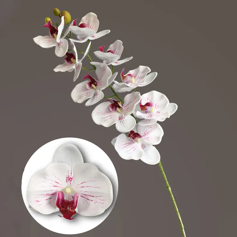 2020 새로운 웨딩 홈 장식 꽃 흰색 가짜 실크 호접란 꽃 3D 인쇄 진짜 터치 라텍스 인공 난초