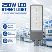 Lampu Jalan LED Outdoor Batwing Optics 250W IP66 untuk Penerangan Jalan Raya dan Jalan Kota