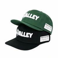 Casquettes de baseball unisexes 6 panneaux personnalisées brodées, en coton, pour l'extérieur, style tropical, promotionnelles pour équipes américaines, vente en gros