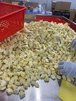 Durian thaïlandais Monthong de qualité supérieure, déshydraté par congélation, croustillant, fruit tropical naturel, collation saine, végétalien, chips de durian FD, vente en gros