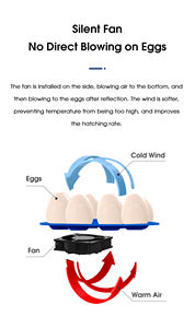 Incubadora <span class=keywords><strong>de</strong></span> <span class=keywords><strong>Huevos</strong></span> WONEGG con Forma <span class=keywords><strong>de</strong></span> Pollito, Capacidad para 8 <span class=keywords><strong>Huevos</strong></span>, Incubadora Automática <span class=keywords><strong>de</strong></span> <span class=keywords><strong>Huevos</strong></span> <span class=keywords><strong>de</strong></span> <span class=keywords><strong>Gallina</strong></span> para Incubación, Países Bajos - Product Image 5