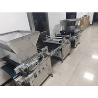Machine de semis automatique à tambour motorisé hautement efficace avec une grande précision et une compatibilité multi-tension