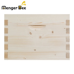 Matériel d'apiculture très demandé : Ruche Dadant 10 cadres pour fournitures d'apiculteur - Product Image 5
