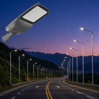 Lampadaire LED extérieur étanche 300W avec capteur photocellule pour l'éclairage des jardins, des places, des trottoirs et des routes publiques