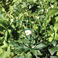Penyangga Bunga Spiral Galvanis - Terbuka di Samping - Penyangga Tanaman Multi-Ring - Layanan Pemotongan dan Pembengkokan untuk Pot Bunga Peony Ranunculus 1-5mm
