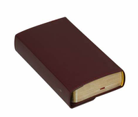 Bible portable personnalisable pour jeunes chrétiens Impression sur papier et carton pour cadeau ou diffusion de l'Évangile