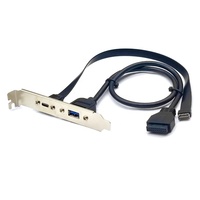Cable de Expansión USB 3.1 de 50 cm para Panel Frontal, 2 Conectores Tipo-E Macho a 2 Conectores Tipo C Hembra para Placa Base de Computadora