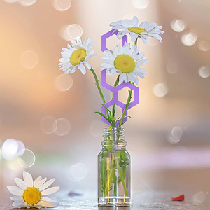Enrejado de acrílico Púrpura pequeño personalizado para plantas en maceta, soporte de vid, enrejado de escalada acrílico para jardín interior y exterior - Product Image 2
