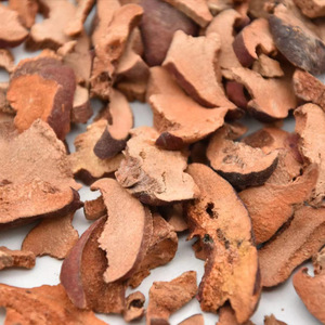 Vente en gros de Guang Mu Gua, matériaux chinois de haute qualité, variété <span class=keywords><strong>Cydonia</strong></span> Sinensis complète - Product Image 4