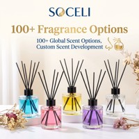 Diffuseur à bâtonnets 50 ml en gros de l'usine OEM avec bâtonnets floraux élégants pour parfum d'intérieur
