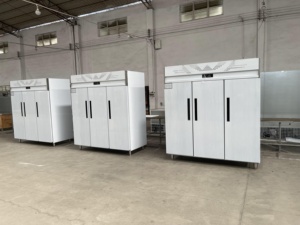 Offres Exceptionnelles Flishel WD-1.6L3 1000L Réfrigérateur Commercial Vertical de Cuisine en Acier Inoxydable 201/304 à 3 Portes pour Restaurant - Product Image 4