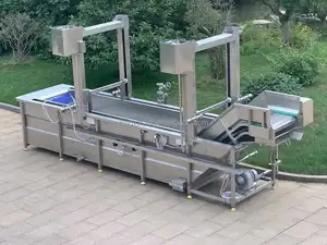 Industrial with/without Gantry lift Fruit and Vegetable Washing Cleaning Machine with Bubble