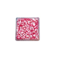 Paso Sico tout nouveau coloré 3D coquille irrégulière pierre bricolage Nail Art décoration