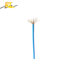 Conductor de cobre de bajo voltaje RUITIAN PVC, cable eléctrico de baja tensión, con cubierta de PVC, de dos, de dos capas, THHN/ THW, de dos capas, de tres capas, de dos, y de una, de dos, de dos, y de una, por un tiempo