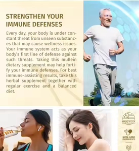 Gouttes liquides d'extrait de plantes naturelles personnalisées 60ml 1400mg de feuille de molène pour le nettoyage détox des poumons adultes - Product Image 5