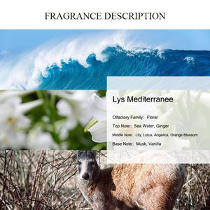 Aceite de Perfume Lys <span class=keywords><strong>Mediterranee</strong></span> con Aroma Único, Alta Concentración, Larga Duración, Aceites de Fragancia al por Mayor para la Elaboración de Perfumes - Product Image 2