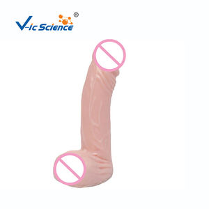 Dummy-Modell für den Unterricht Bildung Wissenschaft modell Geburten kontrolle Modell Männlicher Kondom-Simulator - Product Image 2