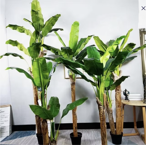Prodotti Bonsai all'ingrosso grandi banane in vetroresina artificiali palme per interni verdi compleanni pasqua - Product Image 2