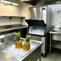 Machine à glaçons en cubes de qualité fiable à prix compétitif, refroidissement par eau, choix idéal pour les magasins de boissons