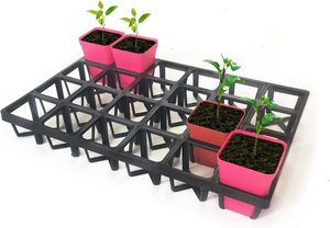 1020 vassoio Extra resistente senza fori per avviamento di semi di propagazione, germinazione delle piante, foraggio, Microgreens - Product Image 4