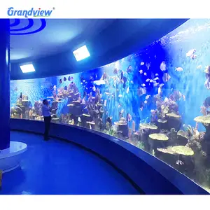 Grandview Panel Wall Aquarium Fish Tanks, Glass Windows Tank Factory Custom Shape Acrylic Plastic Fish Farm Tank Sustainable
