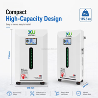 Paket Baterai Lithium LiFePO4 51.2V 314Ah 10kWh Sistem Energi Surya Penyimpanan Energi Rumah PACE BMS Layar Sentuh 7-Inci Garansi 10 Tahun