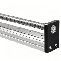 Module d'actionneur linéaire à vis à billes de haute précision avec rail de guidage linéaire unique et course personnalisée pour équipement d'automatisation CNC