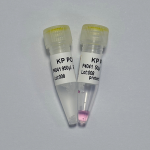 KP PCR MasterMixPlus - 2X con Probes <span class=keywords><strong>FAM</strong></span>/HEX |   GDSBio - Product Image 1