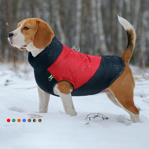 Abrigo OEM para perros, traje <span class=keywords><strong>de</strong></span> <span class=keywords><strong>nieve</strong></span> a prueba <span class=keywords><strong>de</strong></span> viento, chaqueta acolchada, trajes <span class=keywords><strong>de</strong></span> invierno para mascotas, chaleco <span class=keywords><strong>de</strong></span> lana grueso, ropa barata para perros, ropa para mascotas - Product Image 1