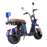 Bicicleta de Turismo de Alta Gama con Llantas Anchas, Manubrio Elevado, Distancia Entre Ejes de 1000W, Motor de 1000W, Batería de Litio, Capacidad de 200 kg