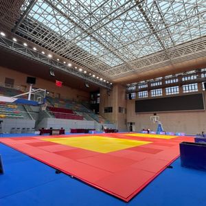 Colchonetas de Judo Hydefoam Extra Gruesas, Cumplen con la Norma IJF, Espuma Densa de 2 cm que Absorbe el Impacto para Minimizar Lesiones en el Entrenamiento en Casa o en el Gimnasio - Product Image 6