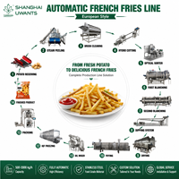 Machine à frites surgelées de type coupées fraîches, à faible consommation d'huile, fonctionnement continu et stable à long terme pour la restauration rapide