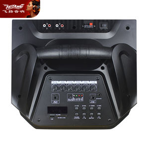 MIC Street Dancing Mobile PORTABLE En Bois Multimédia Unique 12 Pouces Mobile BT ACTIVE DJ PA Karaoké KARAOKE Audio Haut-Parleur - Product Image 5