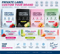 Creatine Monohydrate Collageen Peptide Hydratatie Drinkmix Suiker Vrij Elektrolyten Poeder Stick Pack Private Label Aangepaste Smaak