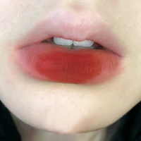 Mini Gloss à Lèvres Mat Velouté Formule Naturelle en Gros, Boîtes d'Emballage Cosmétiques, Coffrets Cadeaux de Gloss à Lèvres Imperméables, Lisses et de Haute Qualité
