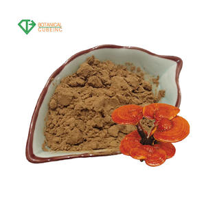 B.C.I kaynağı organik mantar özü tozu kaplı Lions Mane/<span class=keywords><strong>Chaga</strong></span>/Reishi/Maitake/türkiye kuyruk Mushcroom tozu - Product Image 1