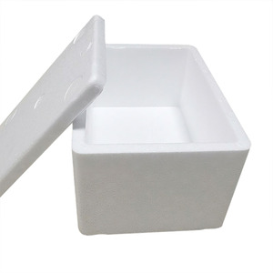 EPS Raw Material Foam Box for Fresh Food Transportation