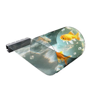 Pantalla de Película de Cristal Personalizada con Transmitancia del <span class=keywords><strong>90</strong></span>%, 2500CD, P6.25, P8, P10, Pantalla Publicitaria para Exposiciones, Conciertos y Escaparates - Product Image 1