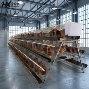 Système de cages à poules pondeuses entièrement automatiques, fourni par une usine chinoise, à <span class=keywords><strong>vendre</strong></span> - Product Image 1