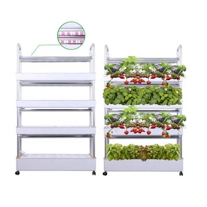Kit de Equipos Hidropónicos para Cultivo de Lechuga en Interiores, Luces LED de Cultivo para Jardín Vertical con Riego Automático - Product Image 6
