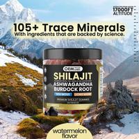 Bioby OEM/Marque Privée Gummies de Shilajit de l'Himalaya avec Ashwagandha, Mousse de Mer, Crinière de Lion, Pastèque pour le Soutien Immunitaire, Énergétique et de la Mémoire
