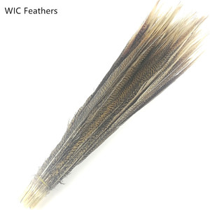 Lông Đuôi Gà Lôi Vàng Dài 10-75Cm/4-30in Màu Tự Nhiên - Product Image 3